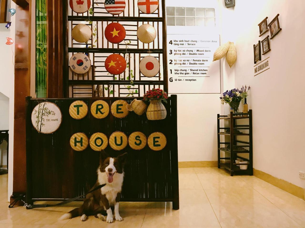 Tre House Homestay Hanoi Eksteriør billede